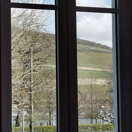 Rheinufer Am Hindenburgpark Appartement Bingen am Rhein Buitenkant foto