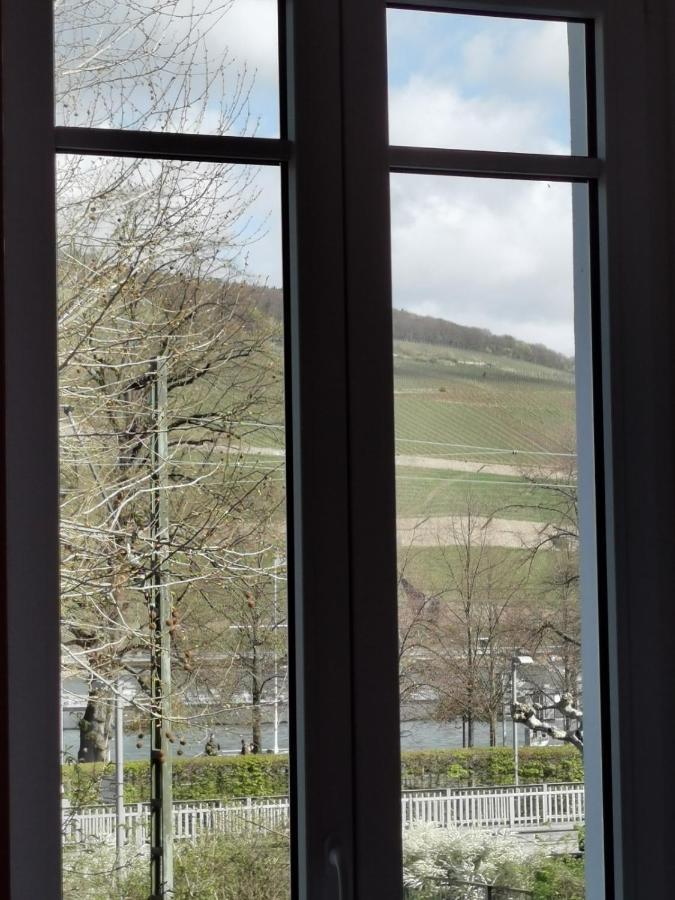 Rheinufer Am Hindenburgpark Bingen am Rhein